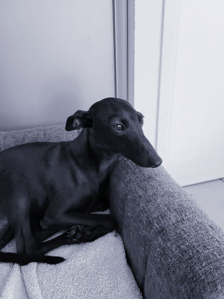 Toscane de la clé aux loups